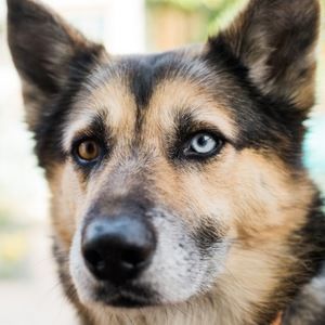 Meet your Posher, Kristin